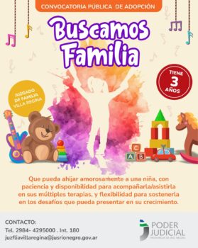 afiche de adopción. Se muestran objetos infantiles.